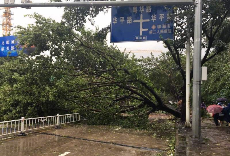 “天鴿”過(guò)境，倒下的何止是樹(shù)，還有弱不禁風(fēng)的劣質(zhì)產(chǎn)品