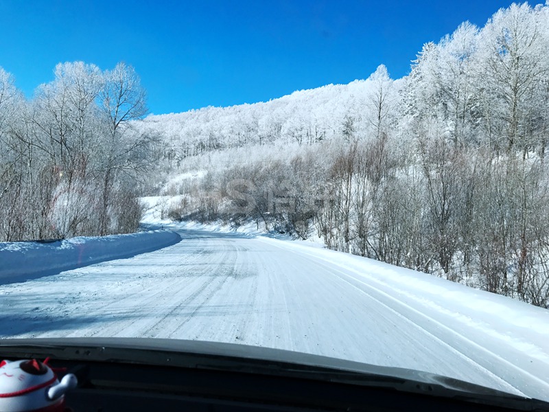 2018年的第一場雪，在北國雪山的恰好時綠卻生機盎然！